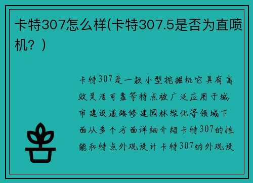 卡特307怎么样(卡特307.5是否为直喷机？)